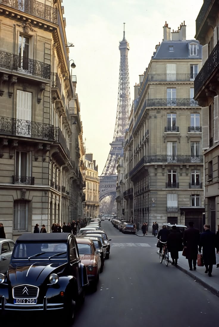 image (7).png__PID:c273ce67-036b-4678-8f7d-14a5547ea206